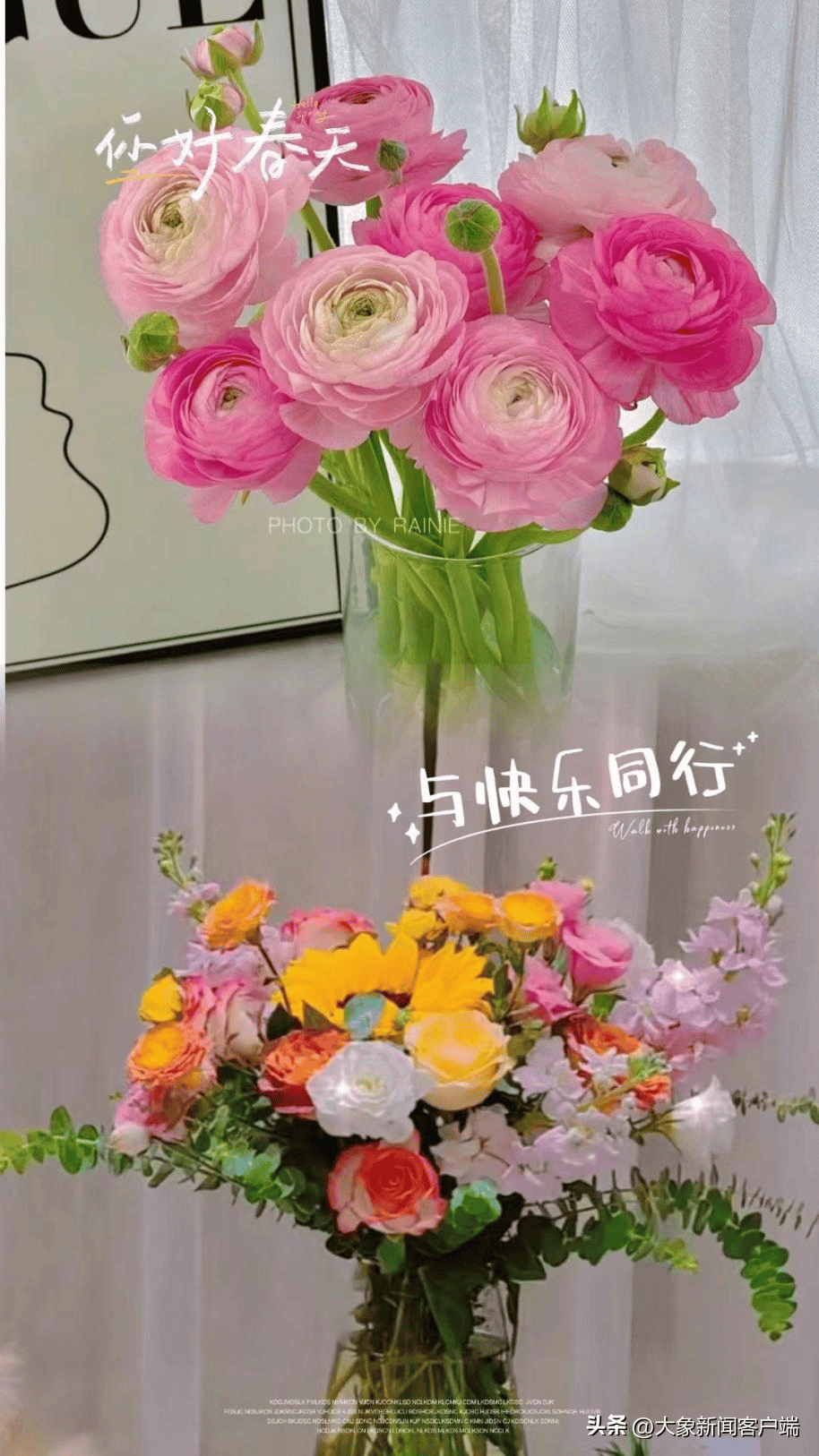 必赢上大象找对象｜春暖花开印象缘起线下交友活动开始报名(图1)