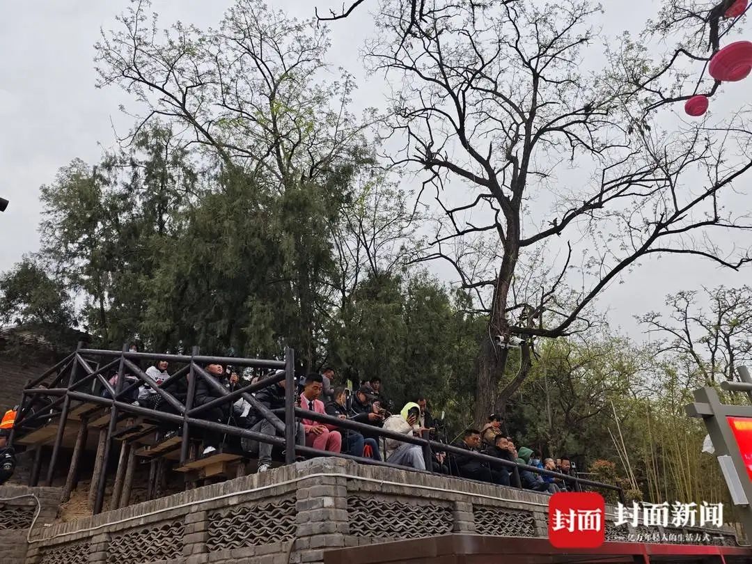 “王婆”相亲舞台火热：有人起大早排队有人直播涨粉上万(图6)