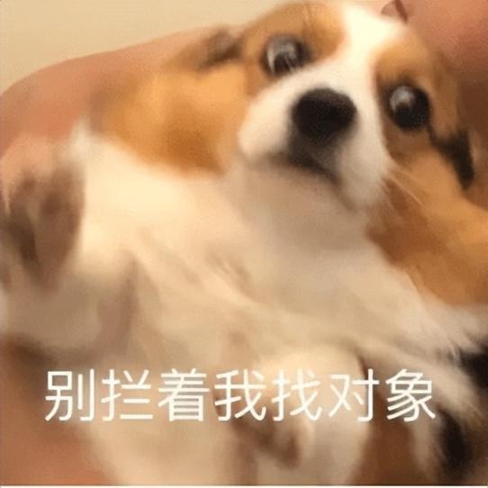 2024相亲交Bwin必赢友软件评测！除了探探陌陌soul你还知道哪些APP？(图1)