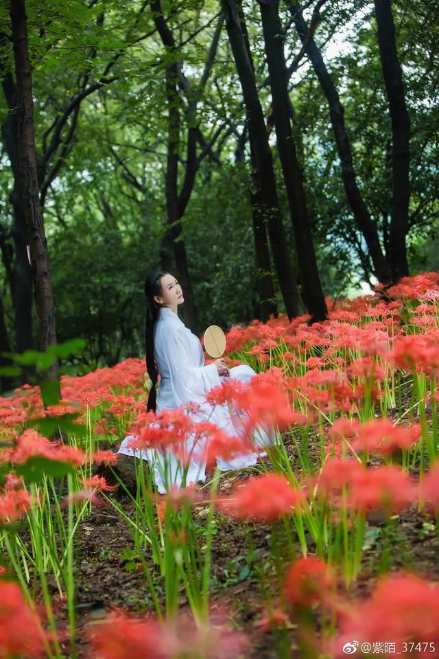 女子因彩礼与6年男友分手转身相亲成功炫豪横彩礼评论区炸烈(图9)