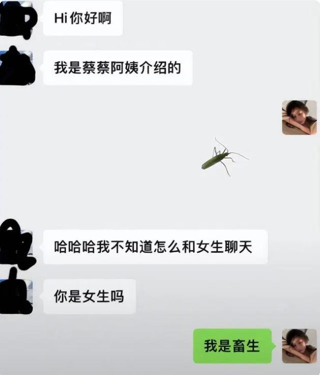 “不是女生是畜牲？”00后女大学生整顿相亲界聊天记录走红(图5)