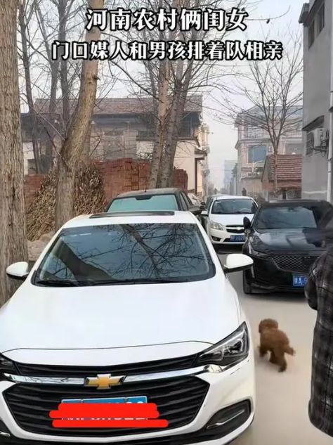 一户人家俩女孩儿待嫁男孩儿排队来相亲网友：俩闺女稀罕人(图2)