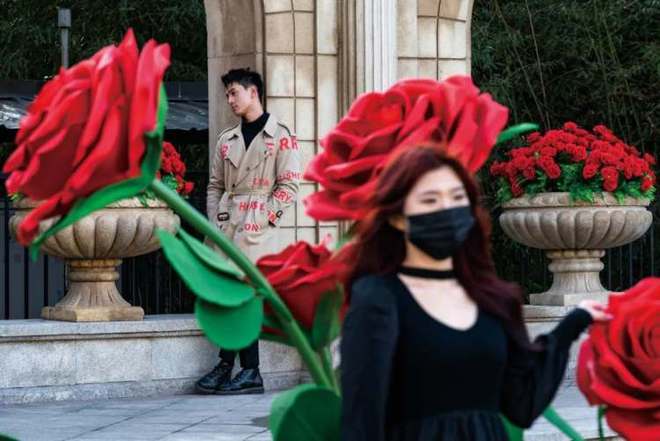 2024年谁还愿吃爱情的苦？(图1)