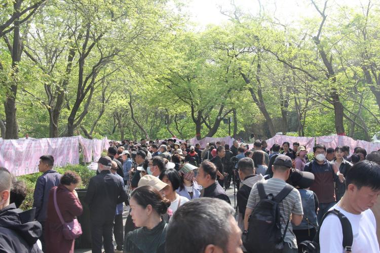 相亲大会、传统吕剧、欢乐集市……千佛山“五一”游园会超全指南来啦(图2)