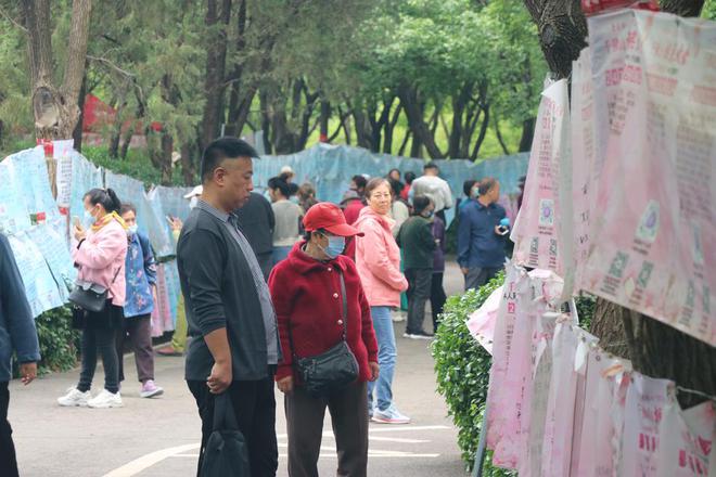 千佛山相亲大会仅剩最后一天！快抓住脱单的小尾巴上山寻缘吧(图1)