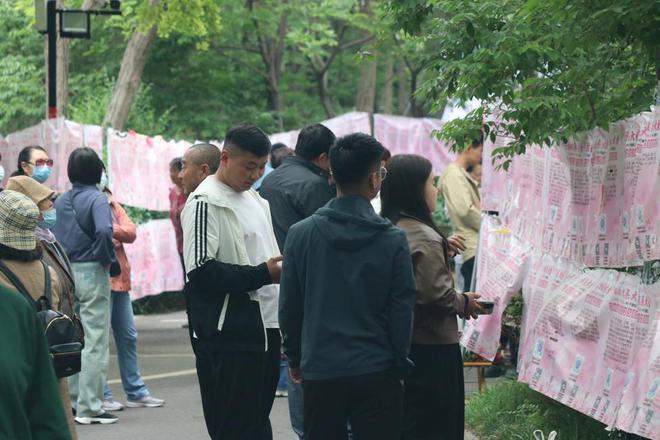 千佛山相亲大会仅剩最后一天！快抓住脱单的小尾巴上山寻缘吧(图5)