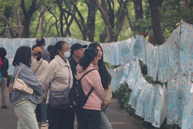 千佛山相亲大会仅剩最后一天！快抓住脱单的小尾巴上山寻缘吧(图4)