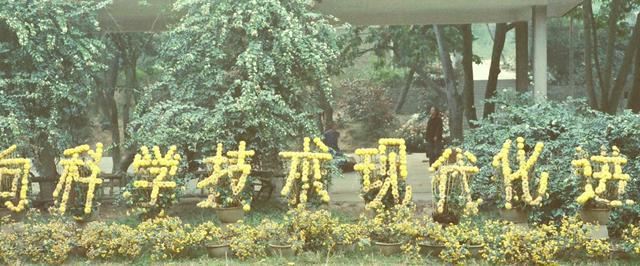 必赢国际42岁女相亲53岁男女子：麻将瘾比较大男方：这方面有点顾忌(图8)
