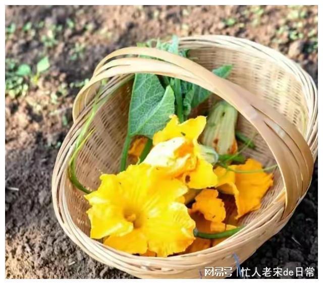 缘分妙不可言：堂哥的相亲让我遇见了命中注定的她(图3)