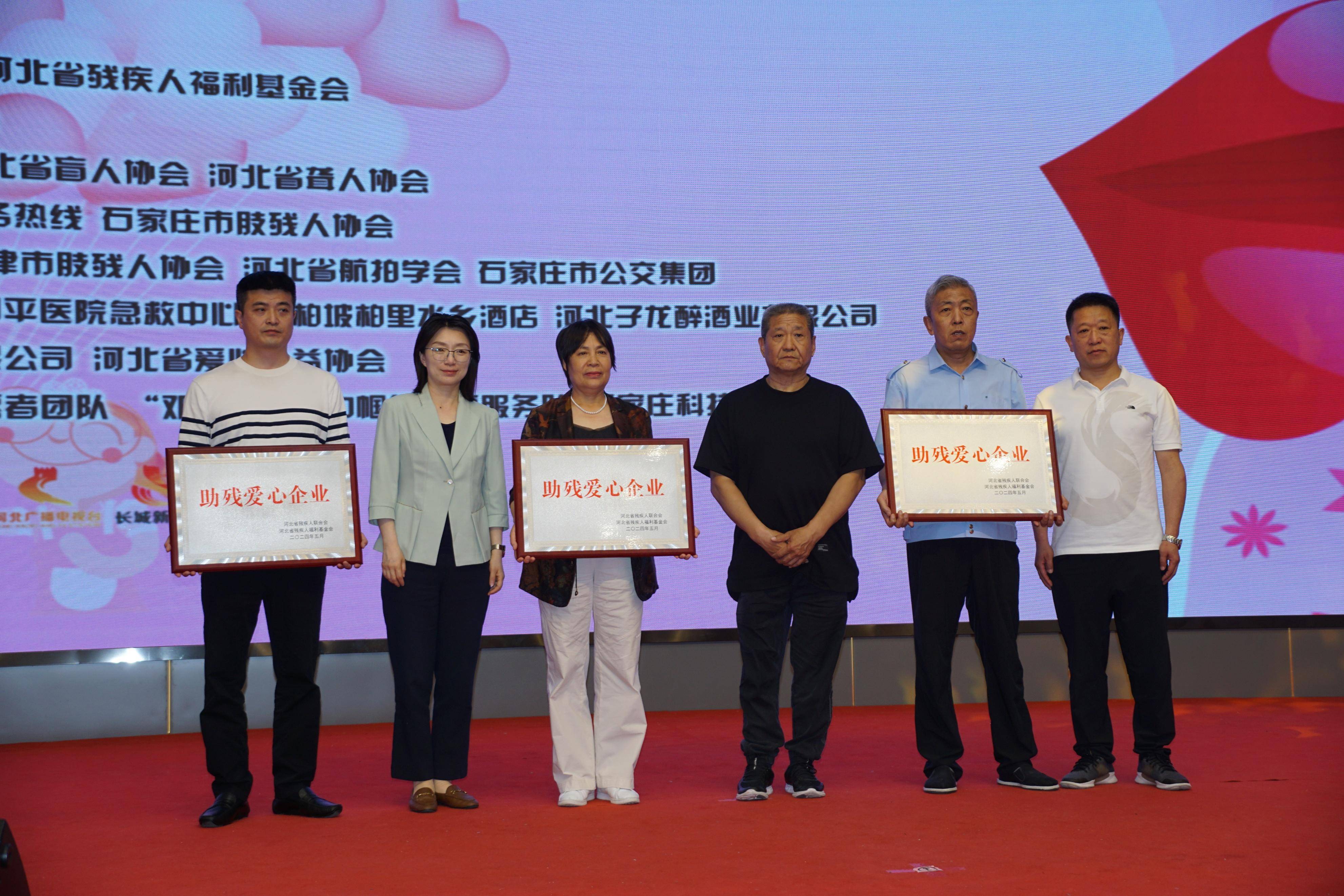 2024“相约河北幸福同行”京津冀残疾人相亲交友联谊活动在平山举办(图9)