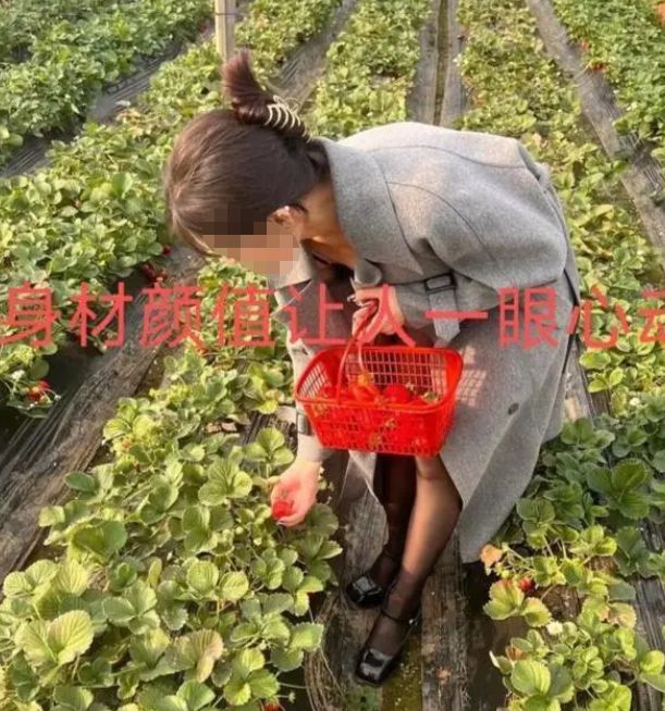 必赢河南小伙带相亲对象摘草莓一眼相中旁边女子网友：想得真美(图1)