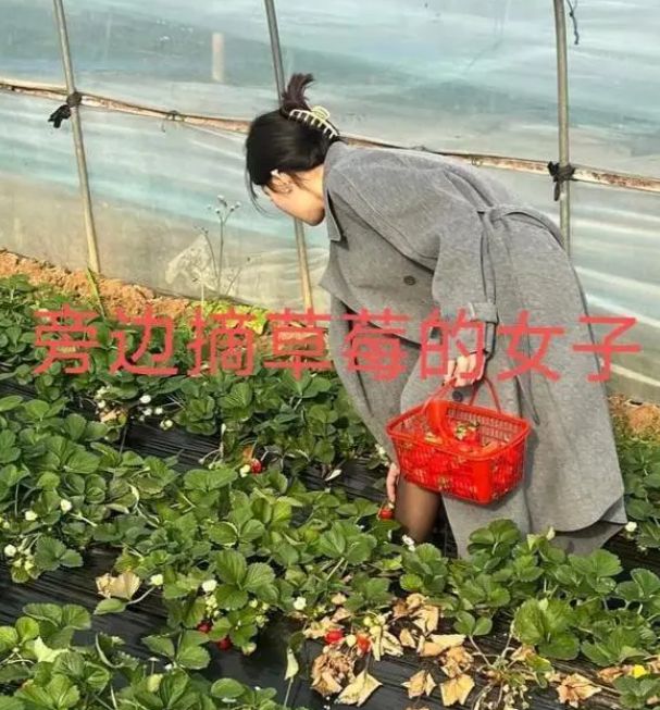 必赢河南小伙带相亲对象摘草莓一眼相中旁边女子网友：想得真美(图2)