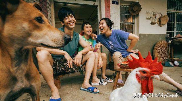 必赢国际2024必看10部高口碑台湾电影！(图15)