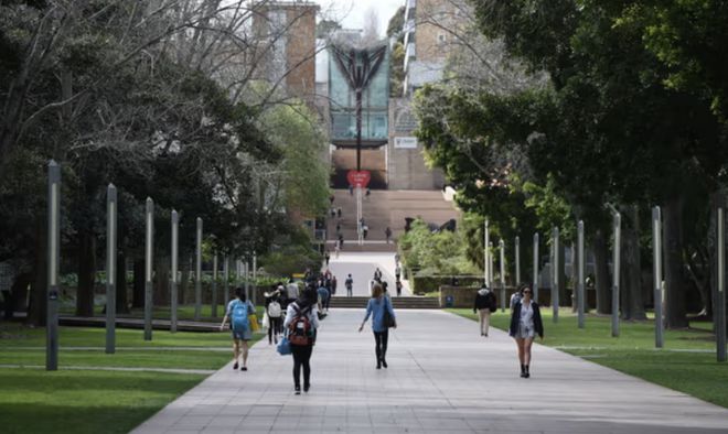 刚刚披露：澳洲留学签大幅下降！留学生骤减大学纷纷坐不住了！(图3)