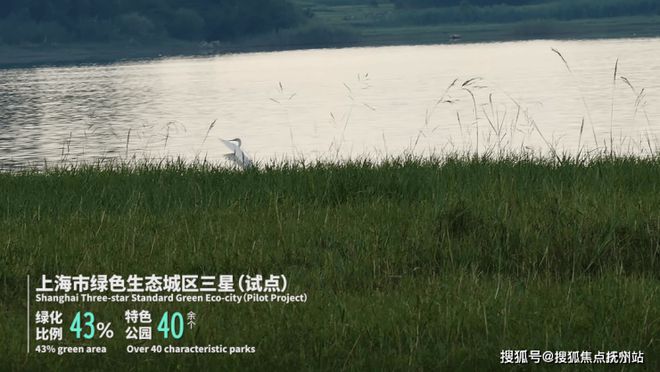 华润中环置地中心润府首页网站2024年最新价格户型-生活配套-地址(图20)