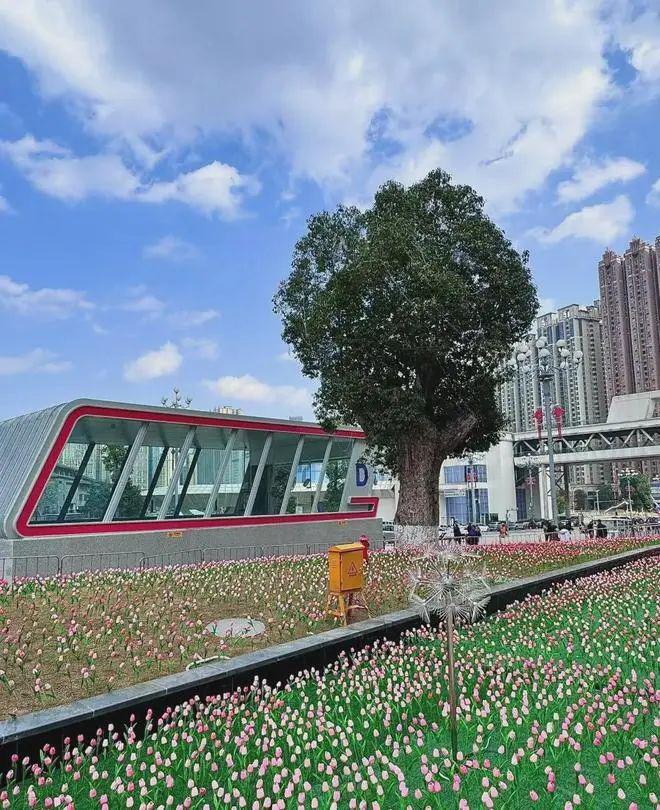 蓝城春风湖滨(苏州吴江)网站2024年最新效果图-房价-容积率(图13)