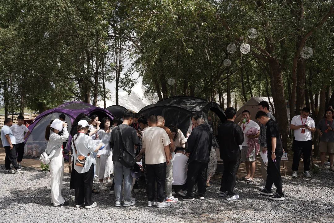 陕西定边县举办“青春相会缘定七夕”2024年青年必赢国际联谊交友活动(图3)