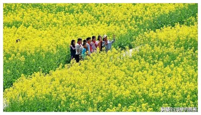 2024年的相亲现状为何大龄剩男会担忧婚姻会不复存在？(图2)