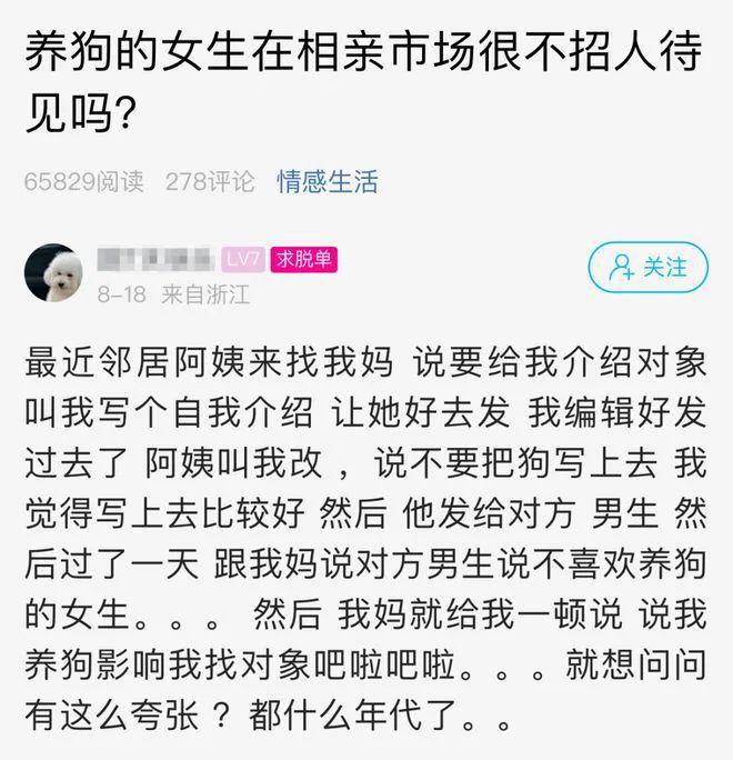 养狗的女生在相亲市场不招人待见？(图1)