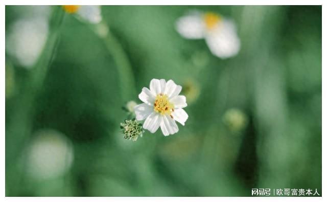 陪好友“相亲”走桃花运情到深处终究难抵挡必赢(图1)