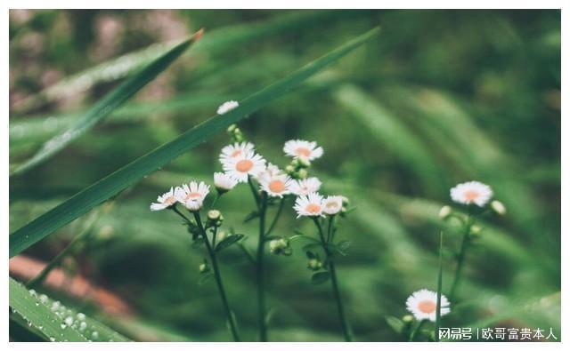 陪好友“相亲”走桃花运情到深处终究难抵挡必赢(图2)
