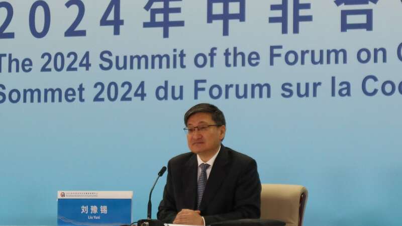 刘豫锡：中非创新交流形式促进双方人民特别是青年一代相知相亲(图1)