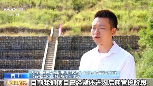 生态廊道变鹊桥看野生大熊猫跨栖息地“相亲访友”必赢国际(图7)