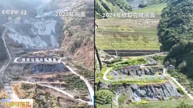 生态廊道变鹊桥看野生大熊猫跨栖息地“相亲访友”必赢国际(图6)