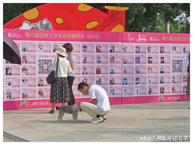 国庆相亲大作战！剩女逆袭寻真爱黄金周里见分晓(图2)