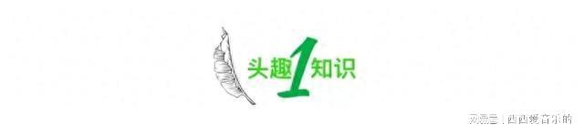 “上海Bwin必赢人相亲精准到身份证”刷爆全网撕开了当下社会残酷的现实(图1)