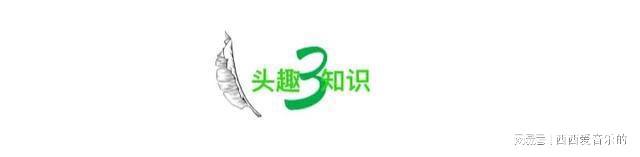 “上海Bwin必赢人相亲精准到身份证”刷爆全网撕开了当下社会残酷的现实(图6)