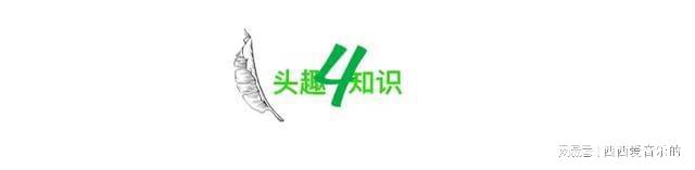 “上海Bwin必赢人相亲精准到身份证”刷爆全网撕开了当下社会残酷的现实(图10)