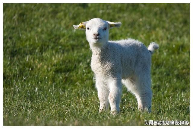 那年我和相亲对象相撞旁边姑娘出手相帮后来我和姑娘成一家人(图7)