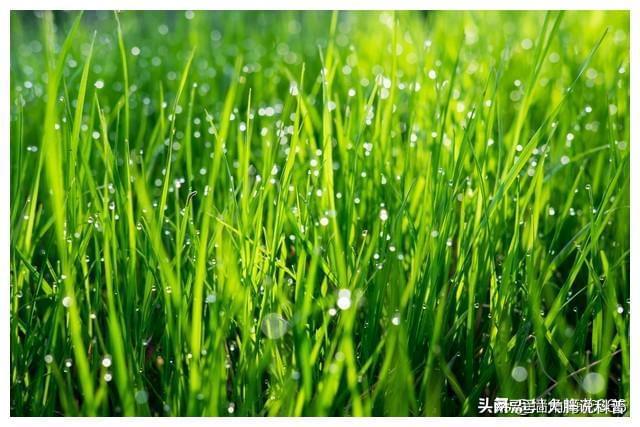 那年我和相亲对象相撞旁边姑娘出手相帮后来我和姑娘成一家人(图6)