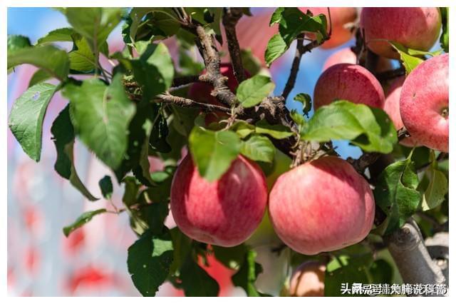 那年我和相亲对象相撞旁边姑娘出手相帮后来我和姑娘成一家人(图16)