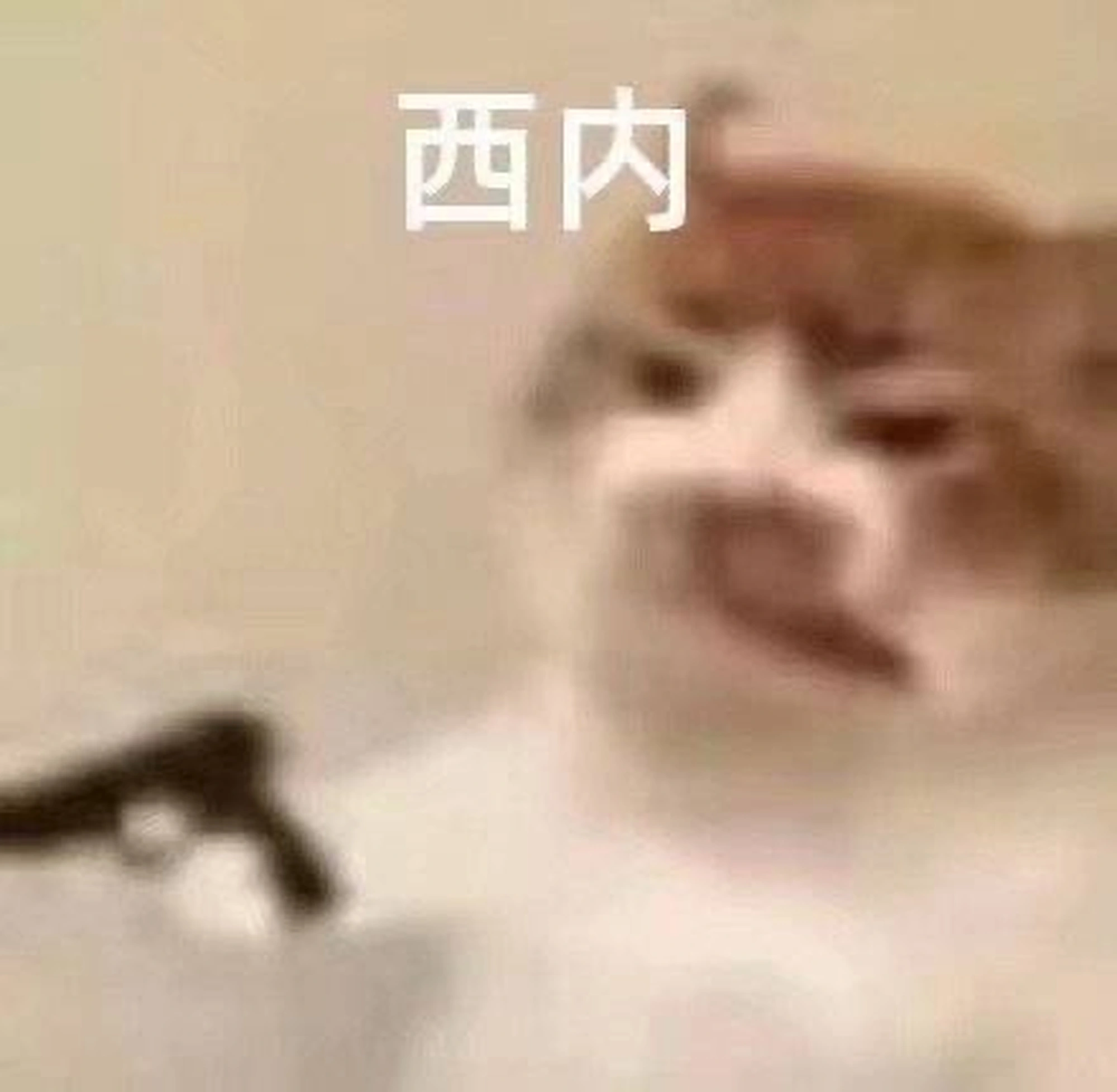 相亲遇到高中老师缘分有时候就是命中注定的。(图4)