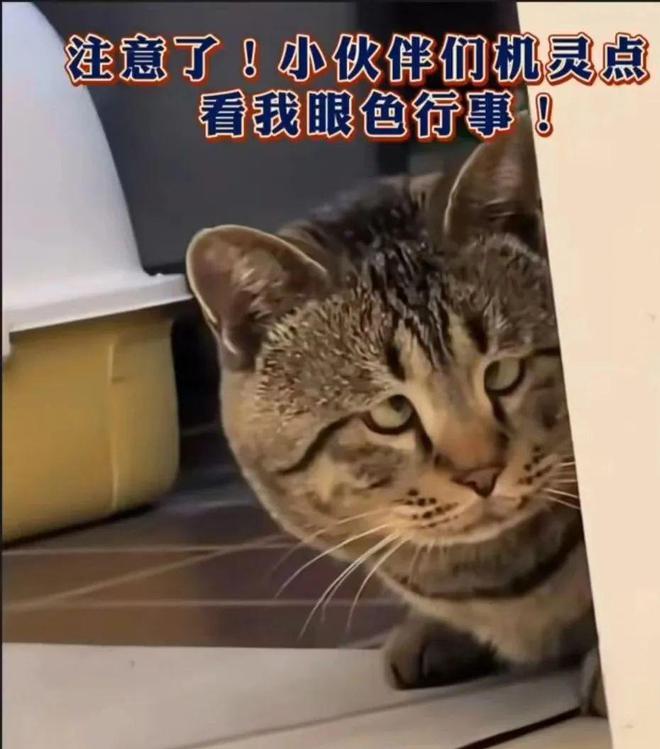 小伙相亲被嫌弃后自曝月薪千万女生态度反转后意想不到的又来了(图3)