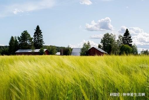 《风吹云散爱已眠》乔安阳祁琰川小说：乔安阳决定和相亲对象闪婚(图2)