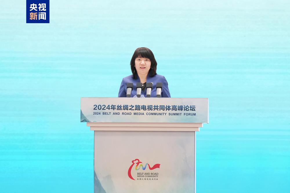 陆海之约同心同行！2024年丝绸之路电视共同体高必赢峰论坛在重庆举行(图7)