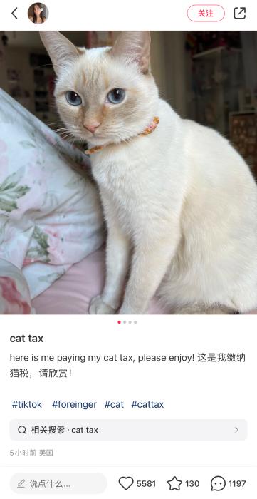 必赢国际中美网友社交平台互动：你教我英语我教你数学！(图2)
