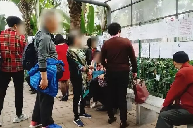 上海相亲角现状：白菜烂在地里猪饿死在猪圈。网友：这可咋整？(图6)