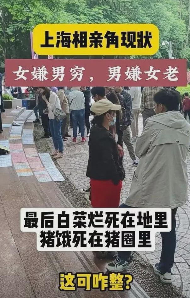 上海相亲角现状：白菜烂在地里猪饿死在猪圈。网友：这可咋整？(图19)