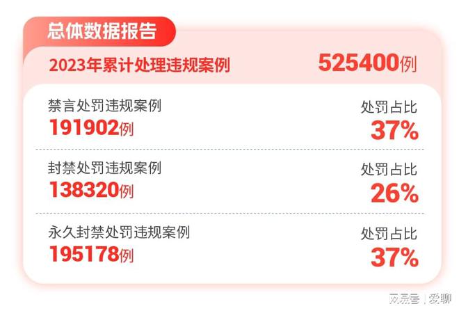 爱聊APP2024年度“净网”行动公示累计处理违规案例525400例(图1)