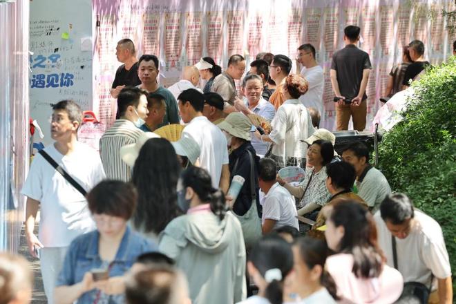 济南三甲医院医生博士小姐姐在千佛山相亲会期待同样优秀的你(图5)