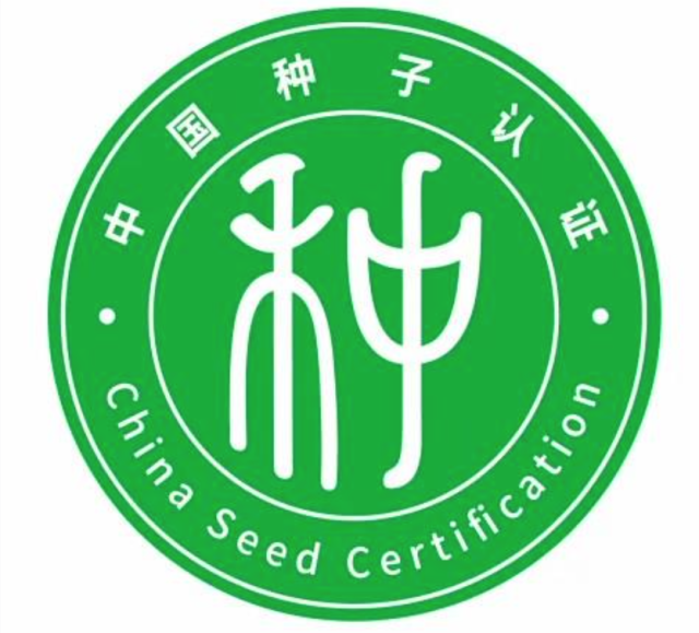 青年早新闻｜乡村娃收到了北大“姐姐”的信(图1)