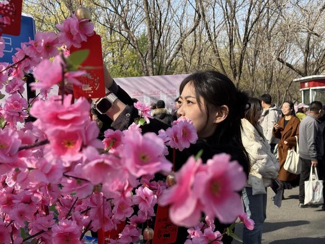 AI牵线缘分有“数”！测测App闪耀千佛山相亲大会(图1)