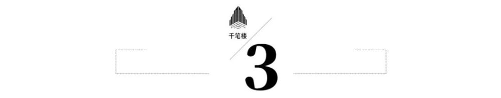 千笔楼｜不戴滤镜看中国何以成“甲亢哥”的流量密码？(图5)
