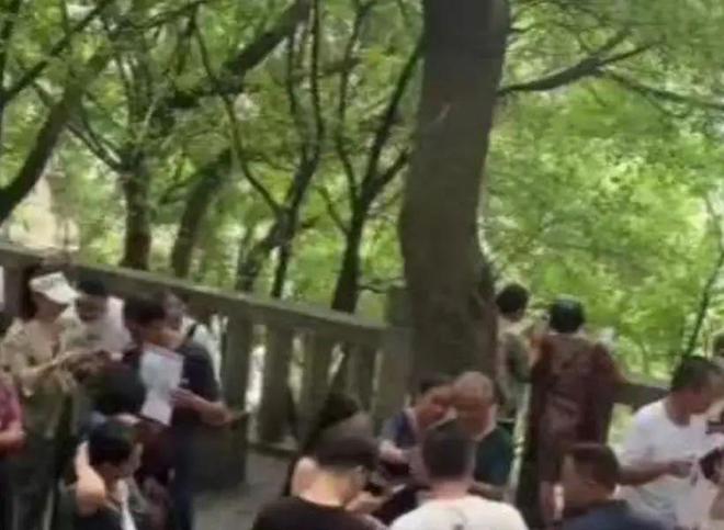 38岁剩女相亲被激怒扬言：宁愿白菜烂地里都不愿意让猪来拱我(图1)