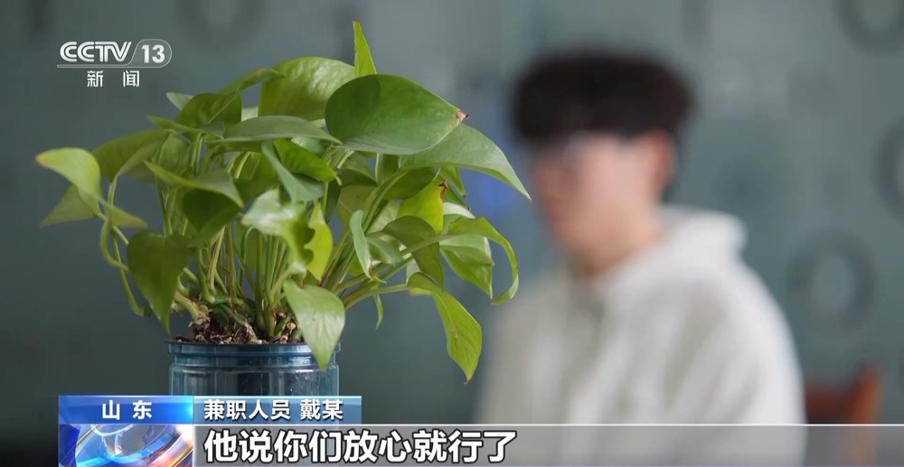 法治丨高薪兼职当心自己被“卖掉”起底网络黑灰产“供血链”(图8)