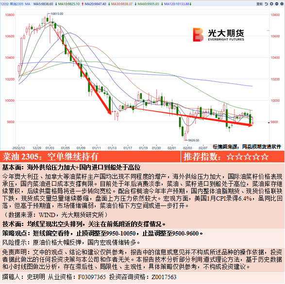 成人深夜福利电影观看免费小小影院(图2)